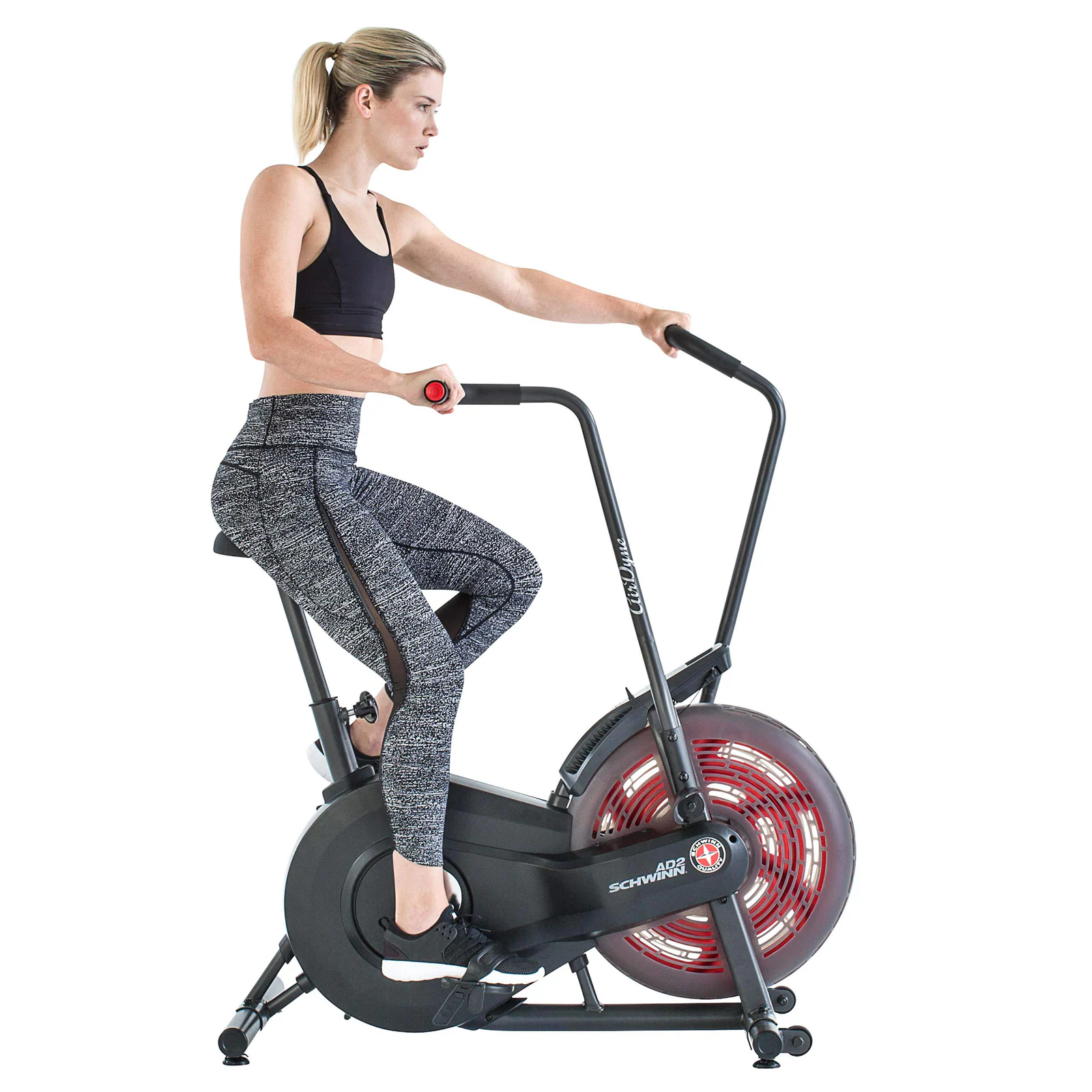 Schwinn Heimtrainer Airdyne Bike AD2
