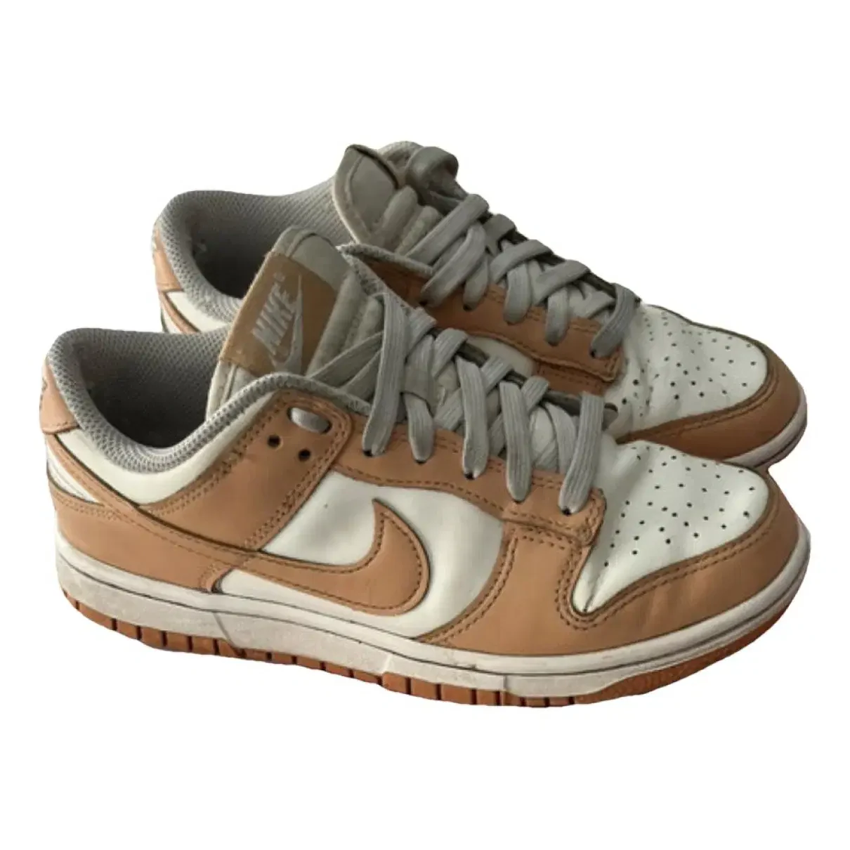 SB Dunk Low Sneakers